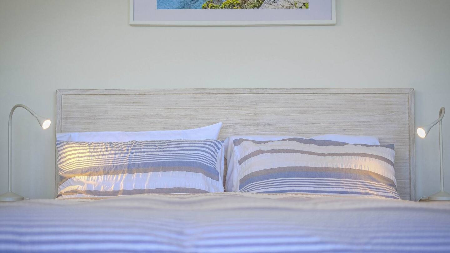 ocean break dog friendly accommodation 23