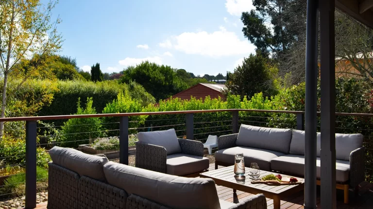 sunshine house dog friendly accommodation 1 768x432