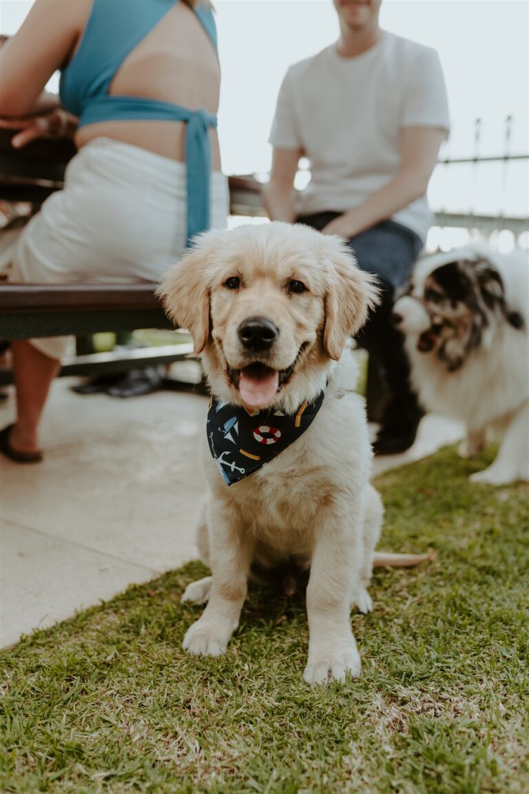 The LEft Bank 11 768x1152