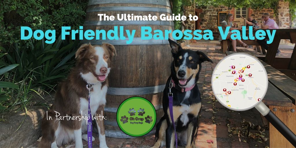 dog-friendly-barossa-valley-ohcrap