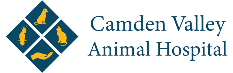 Camden Valley Vet Logo 768x241