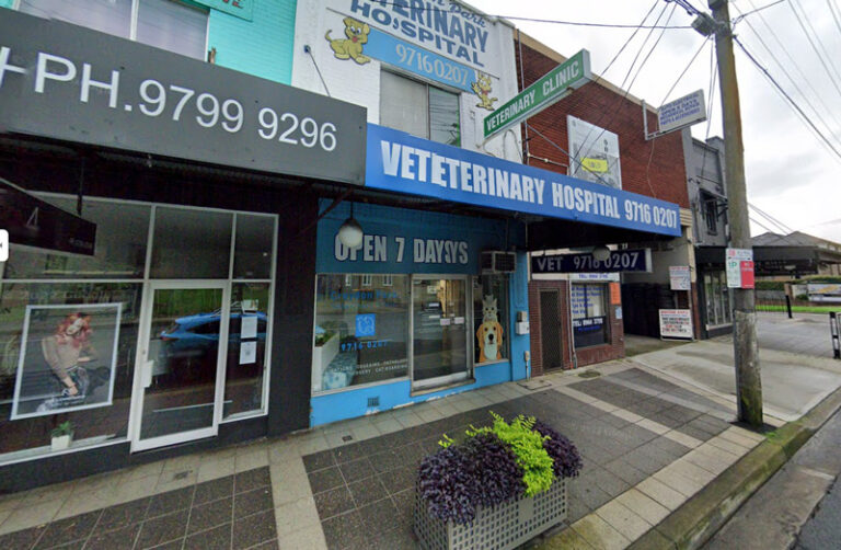 Croydon Park Vet 768x502