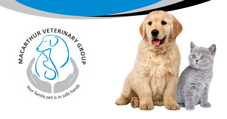 MacArthur Vet Logo 768x403
