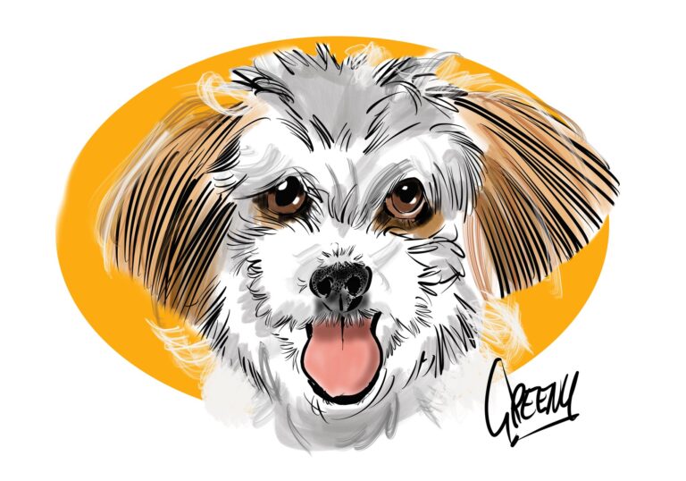 Pet Portraits 14 768x538
