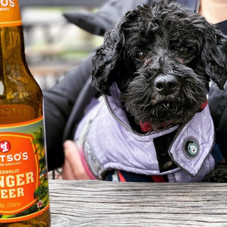 Pig Whistle 3 768x768