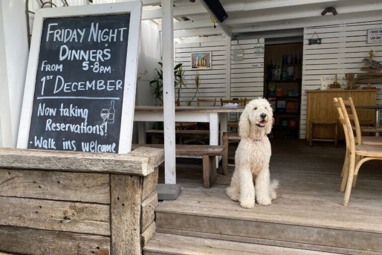 lumi at coast 3 768x512