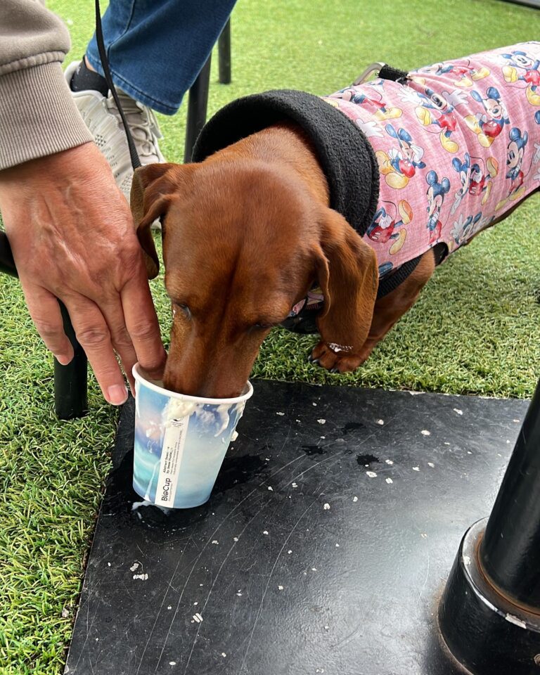 Pit Stop Cafe 2 768x960