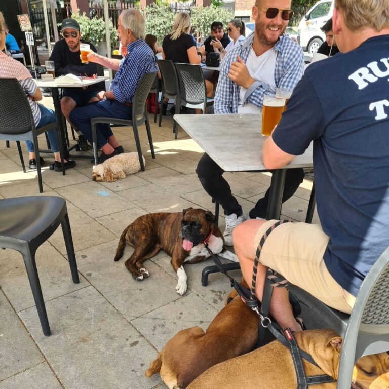 Pyrmont Point Hotel 1 768x768