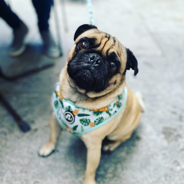 Terminus Hotel 1 768x768