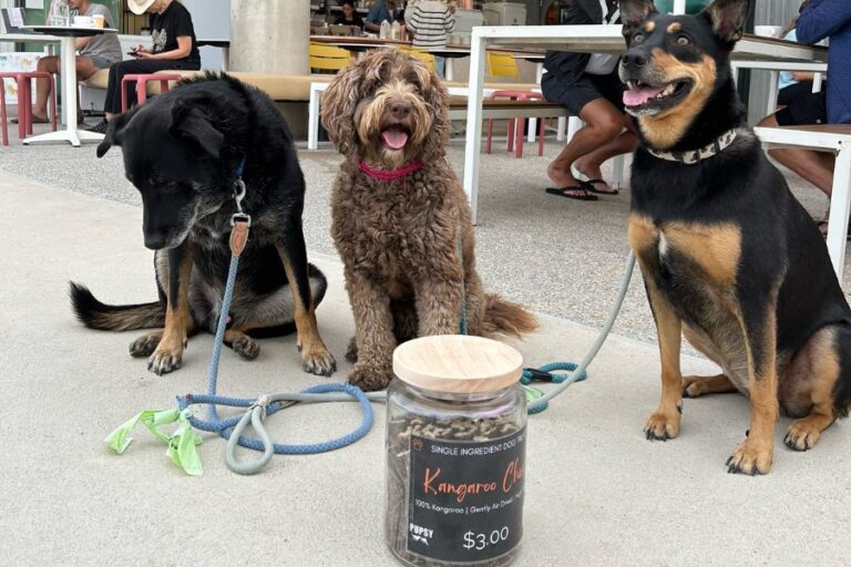 The Brightside Dogs 768x512