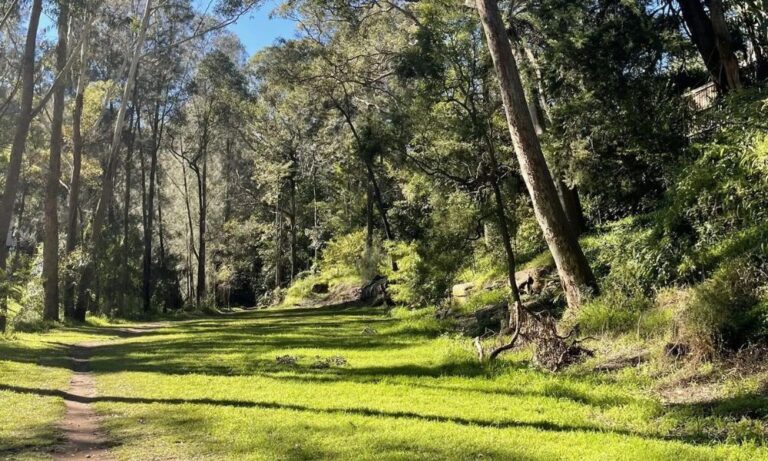 Burns Bay Reserve Walk 1000600 768x461
