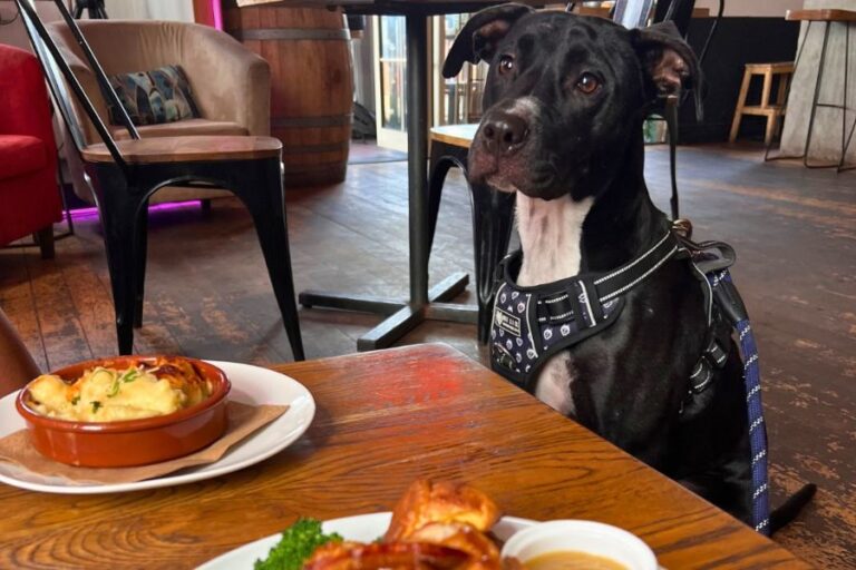 FNKY 900600 1 768x512