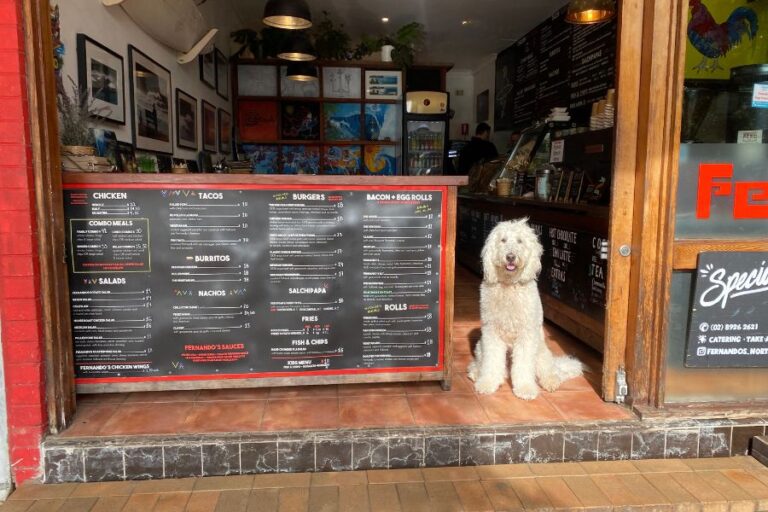 Fernandos 900600 1 768x512