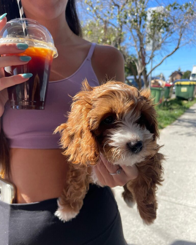 Huxtons at Bronte 1 768x960