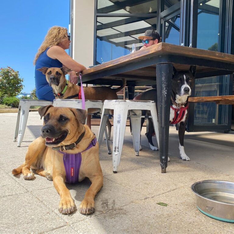 Lot One Kitchen 4 768x768