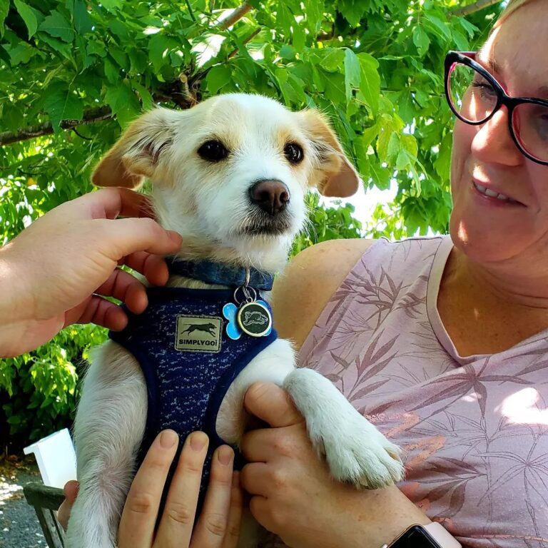 Tambo Wines 5 768x768