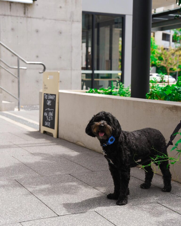 The Granary 2 768x960