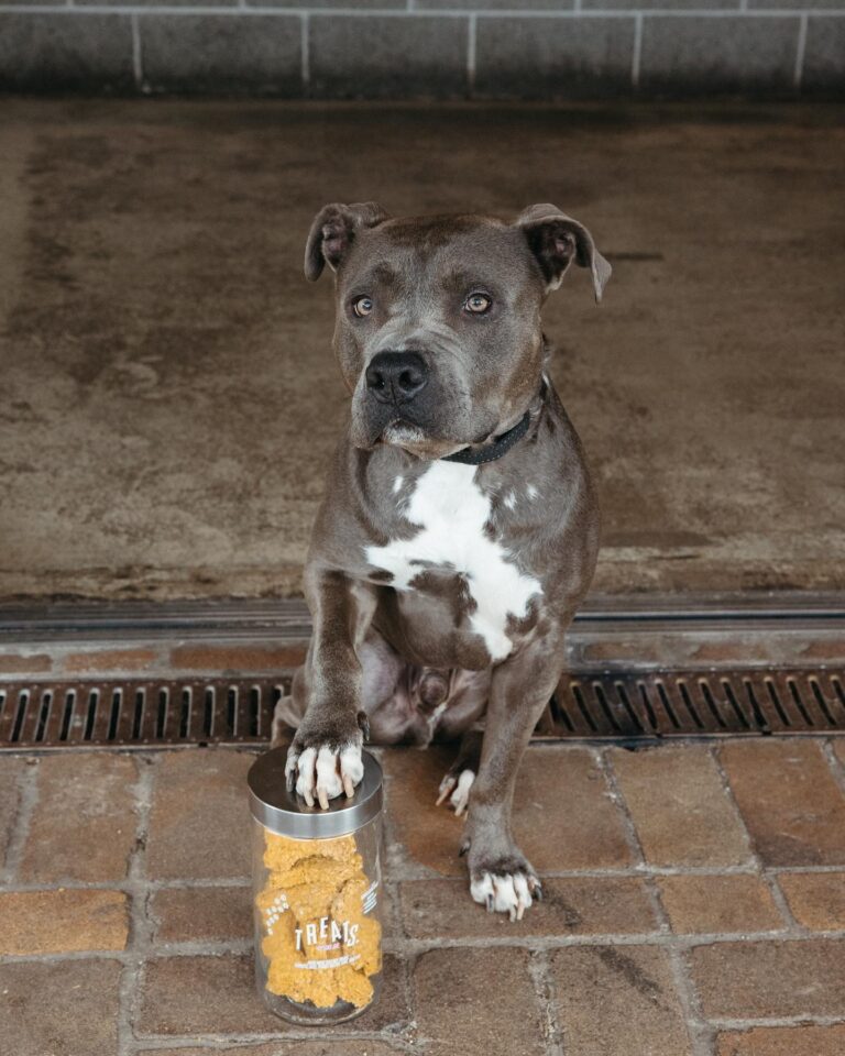 The Tuckshop 3 768x960