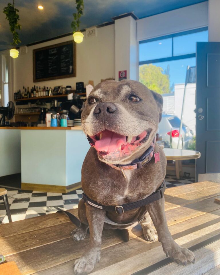 Trafalgar Street 7 768x960