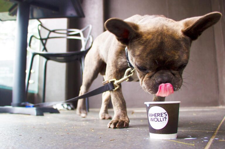 Wheres Wolli 5 768x511