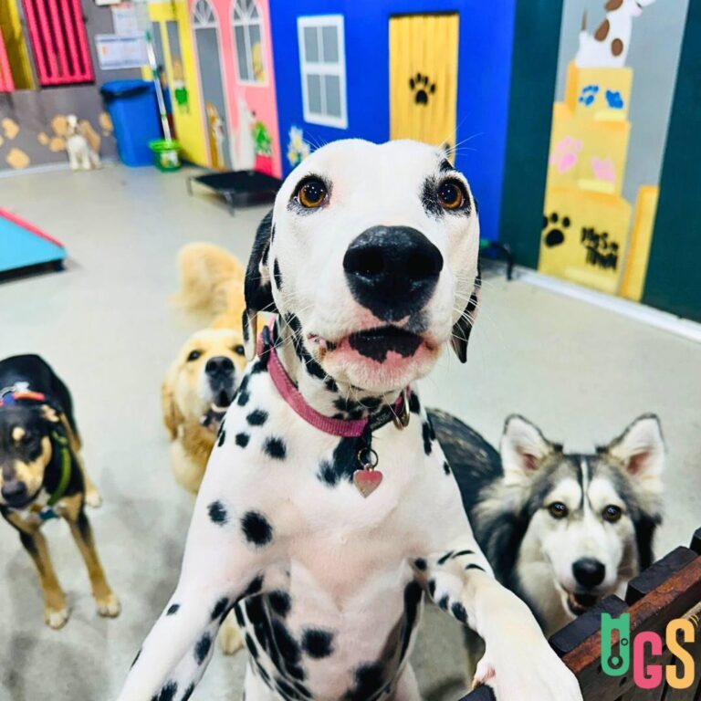 Dogs in Town 1 768x768