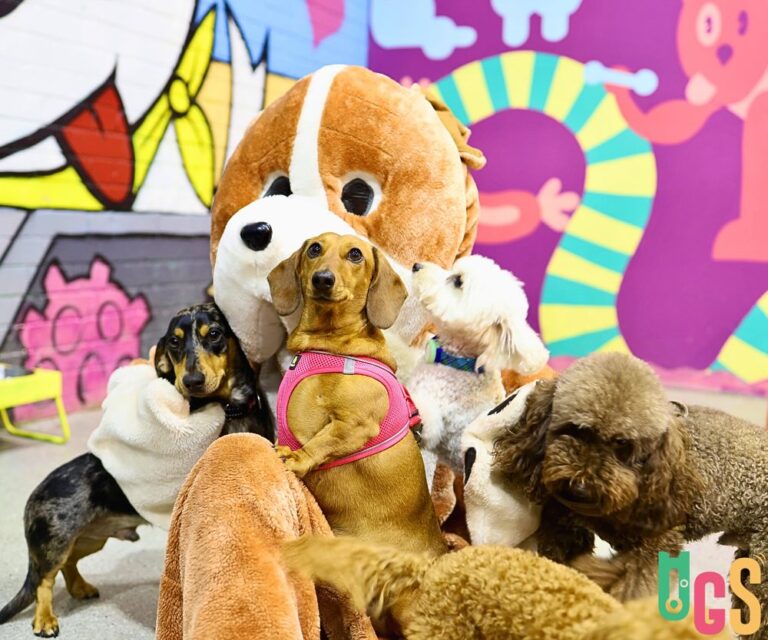 Dogs in Town 3 768x640