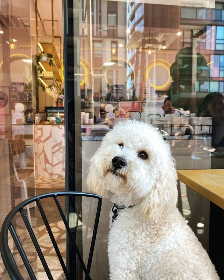 Social Society 4 768x960