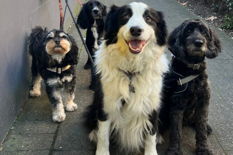 Kepos Street Kitchen 2 96 768x512