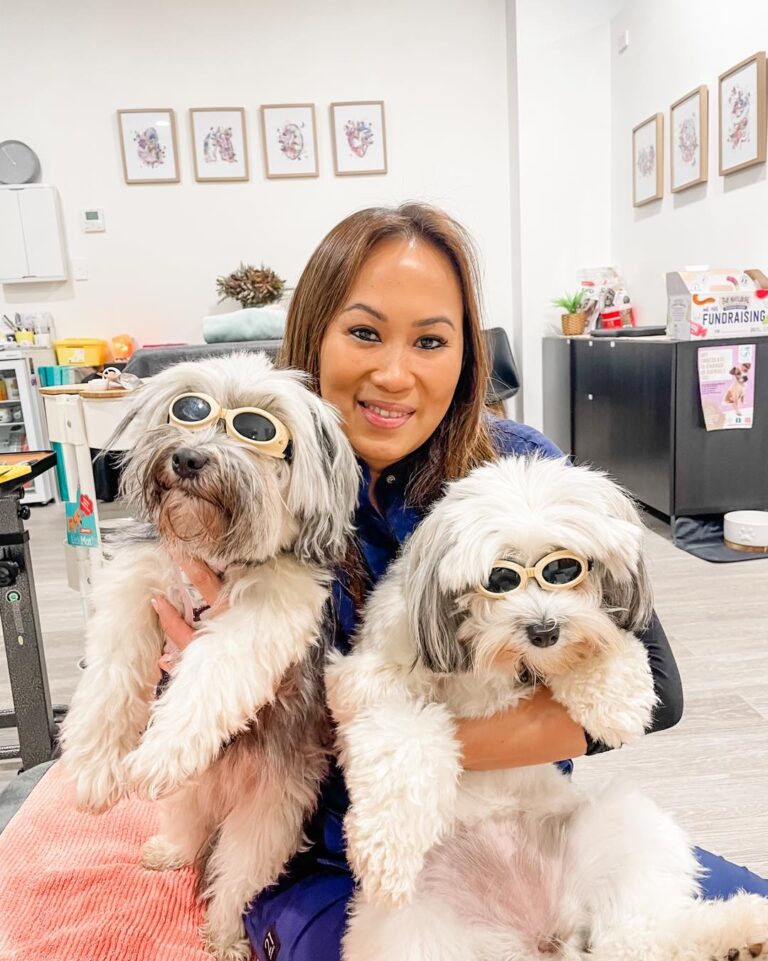 Acupuncture Vet 768x961