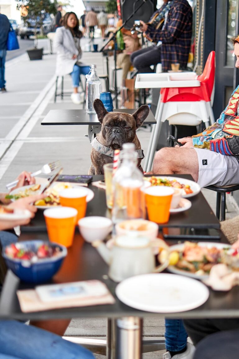 The Angry Gnome 1 768x1152