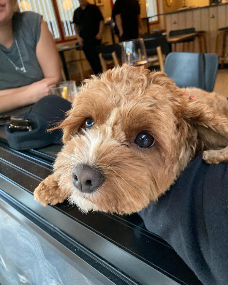 We Three Bar 2 768x960