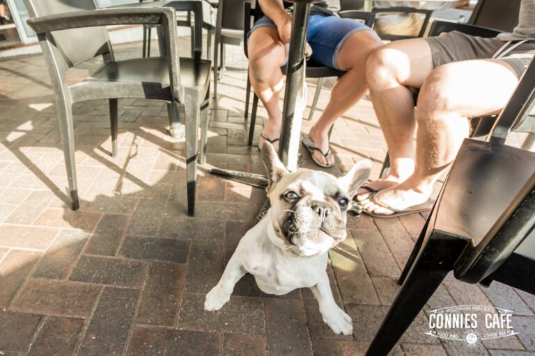 Connies Cliff Road Cafe 4 768x512