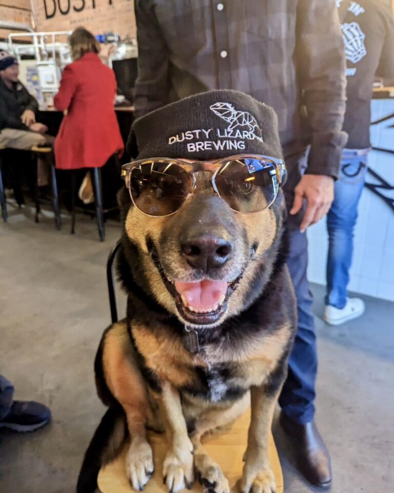 Dusty Lizard 1 768x961