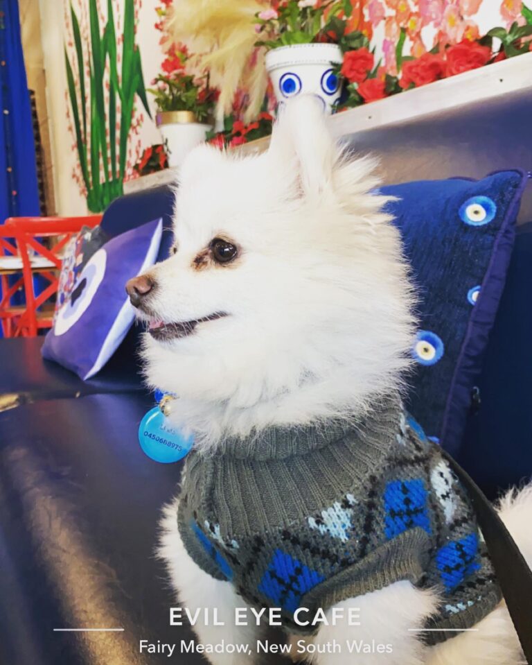 Evil Eye Cafe 2 768x959