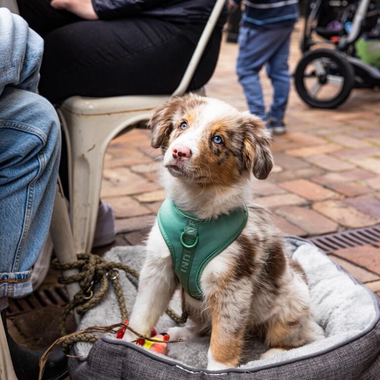 Park Road Garage 1 768x768