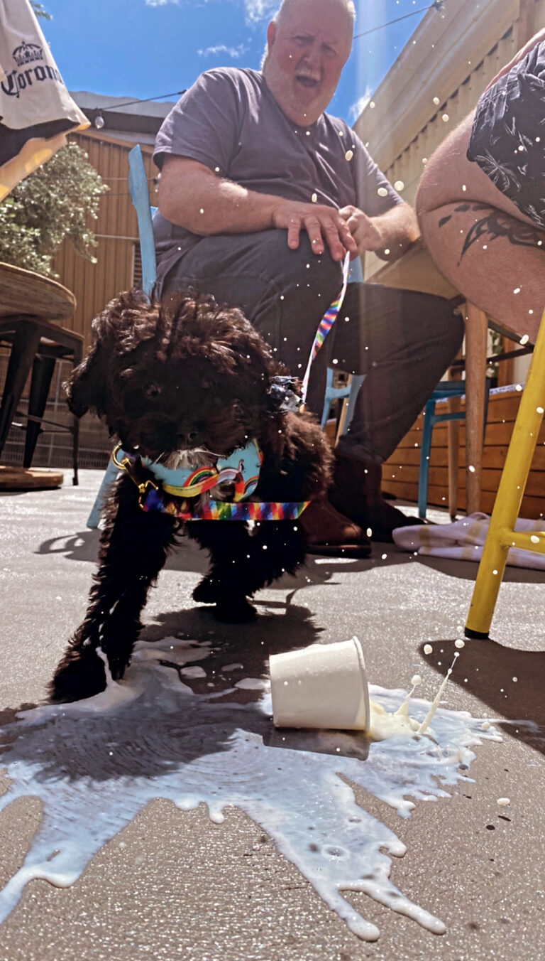 Port Beirut 10 768x1352