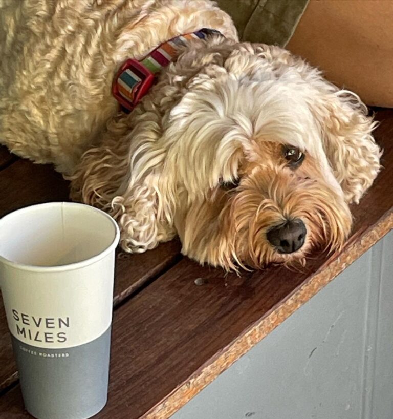 Brick Lane Espresso 1 768x818