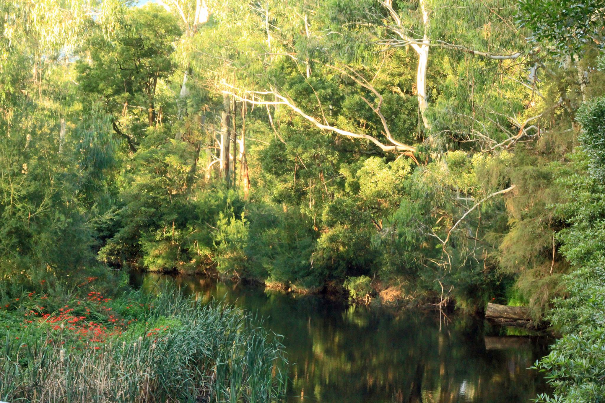 Doon Reserve Caravan Park