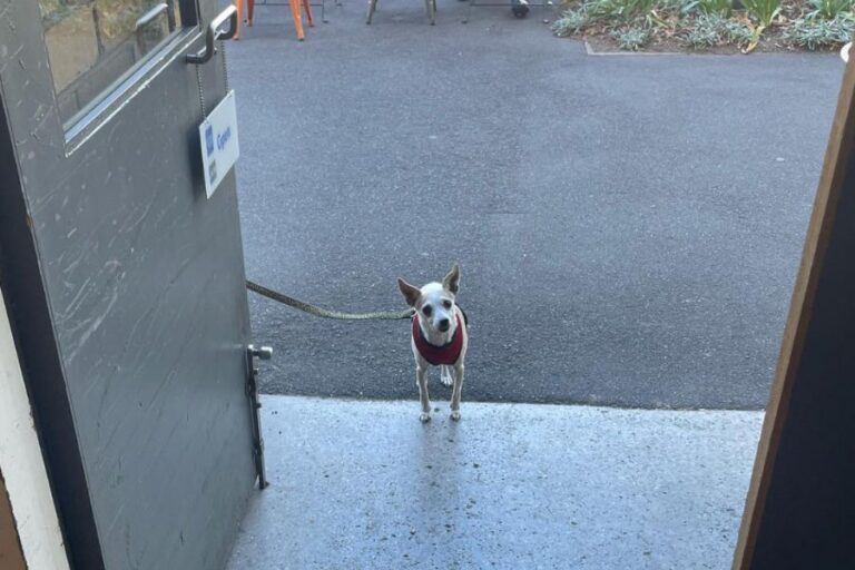 Cafe Park Lane 4 768x512