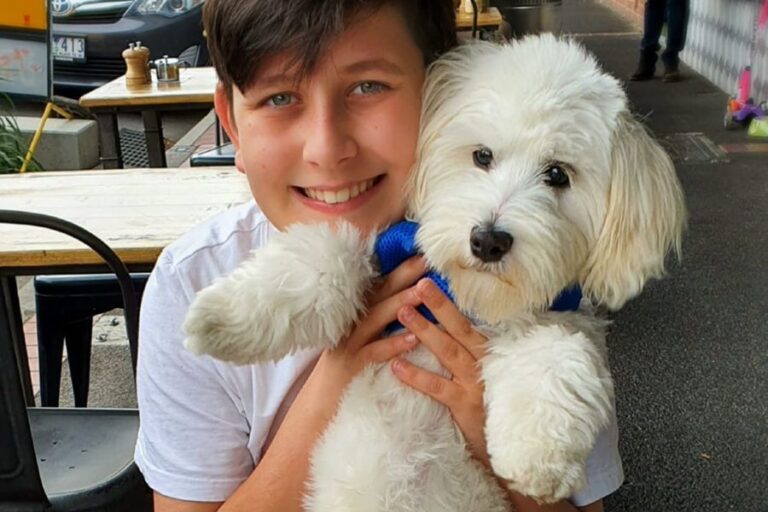 Little Byrd 900600 2 768x512