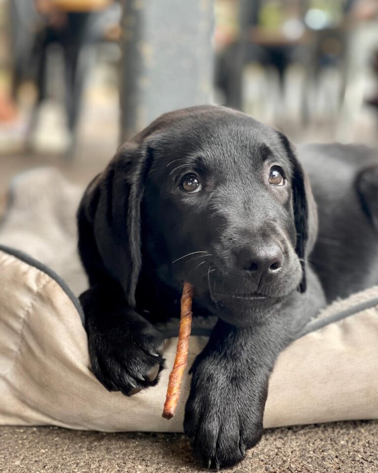 Local Folk 6 768x960