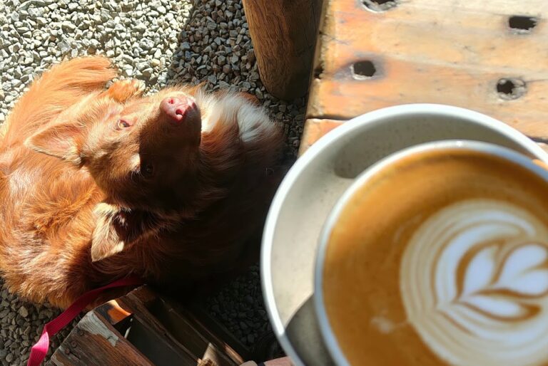 Alfresco Coffee 1 768x514