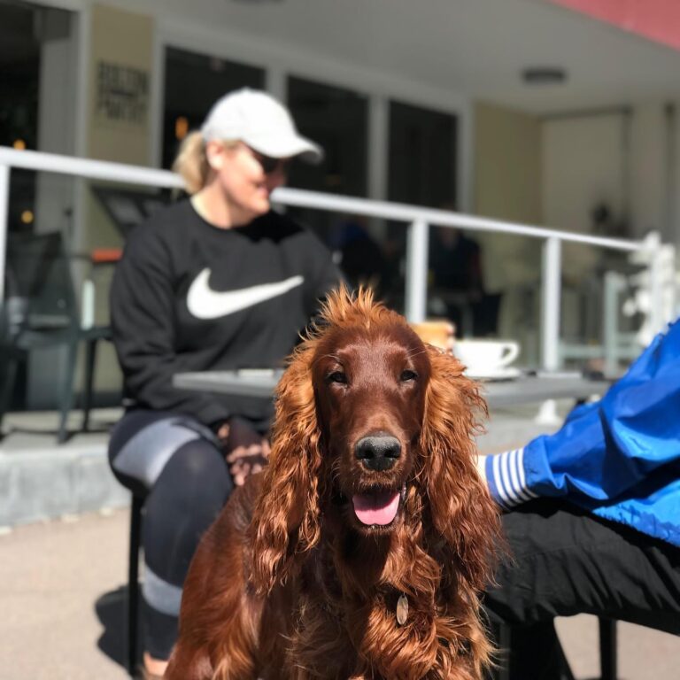 Bolton Street Pantry 6 768x768