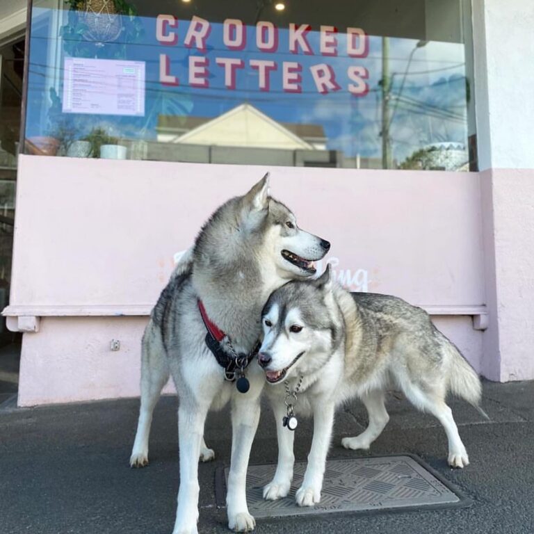 Crooked Letters 6 768x768