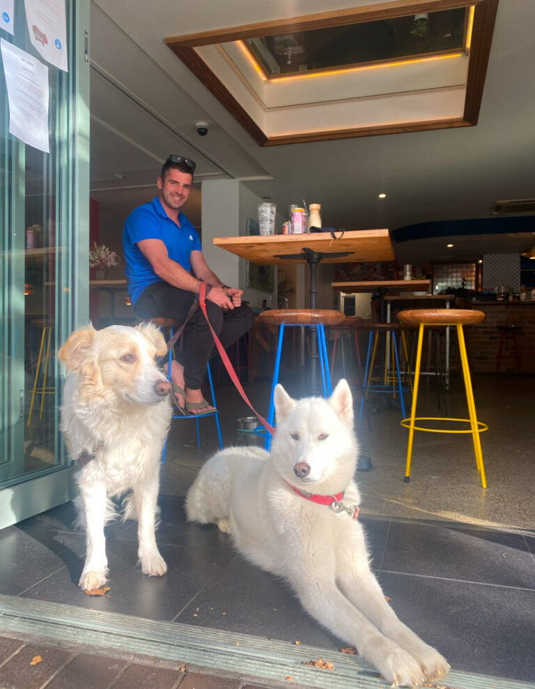 Happy Wombat 10 768x988