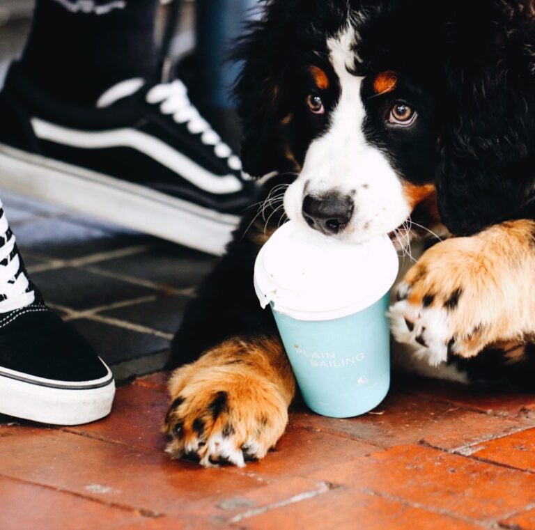 Plain Sailing 1 768x761