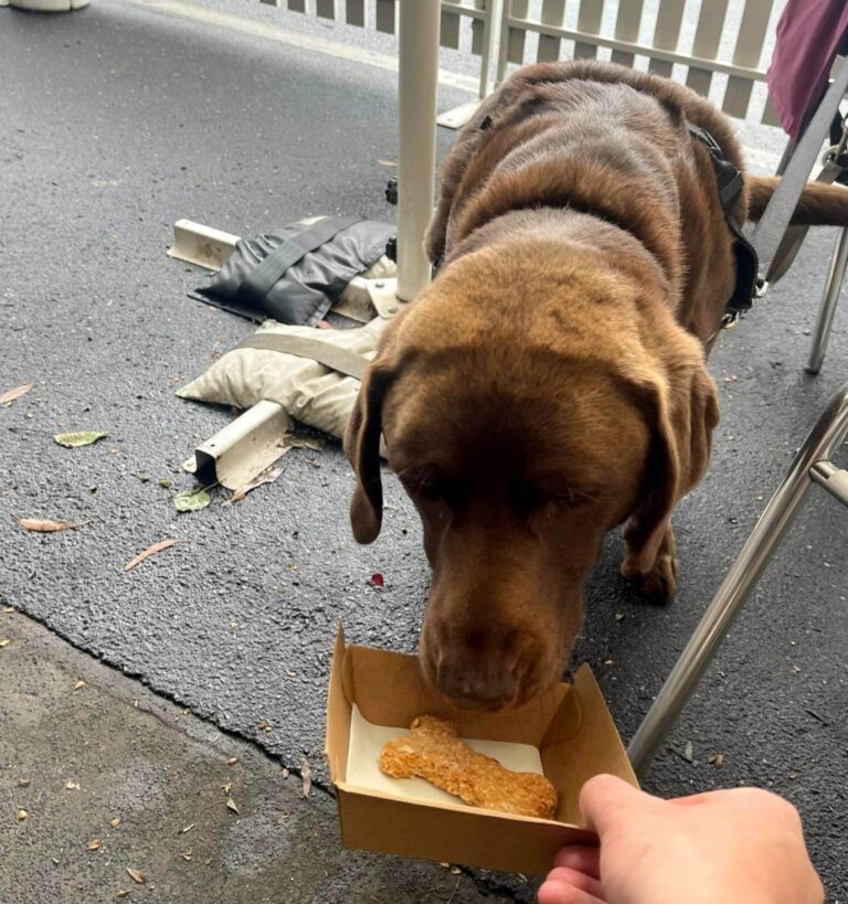 The SandBar 4 768x819