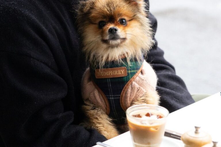 Tinker New 1 768x512