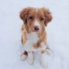 Profile picture of Nuka
