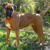 Profile picture of Lila